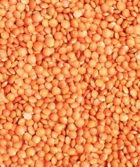 Picture of Dal ( Regular Masoor )- 1Kg.