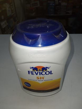 Picture of Fevicol -1kg.